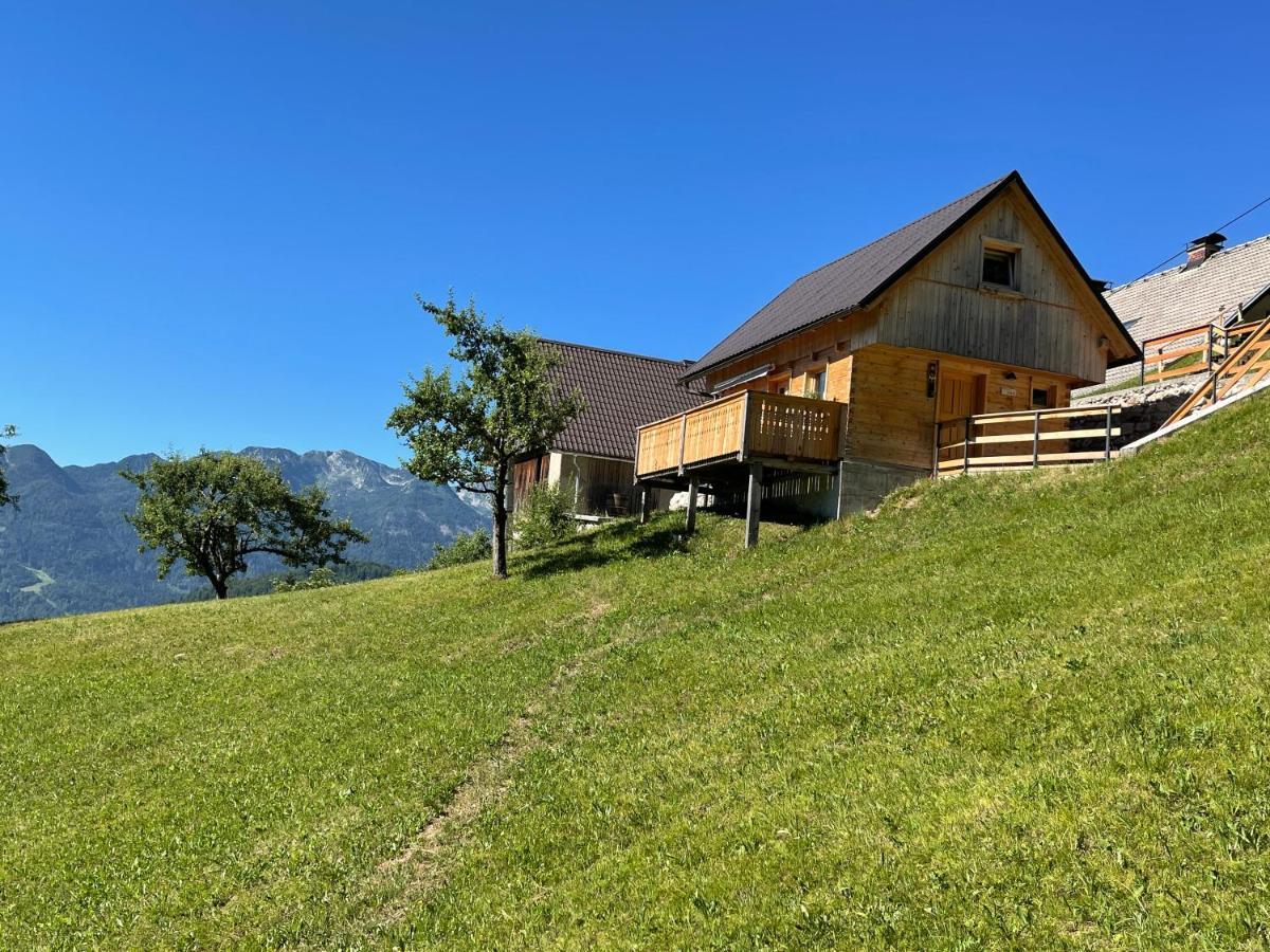 Miha'S Cottage 博希尼 外观 照片