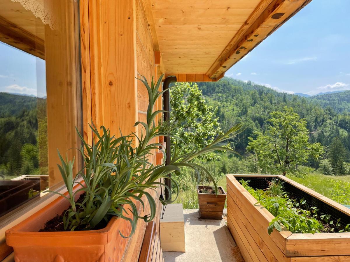 Miha'S Cottage 博希尼 外观 照片